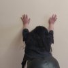 Повія Києва Надія, зняти за 3000 грн година - маленьке фото