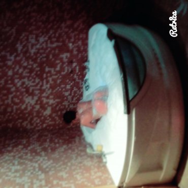 Проститутка Киева Юличка, звонить по телефону 0**5568737 - большое фото