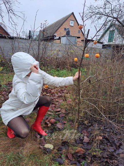 Проститутки Киева: Троєщина - большое фото